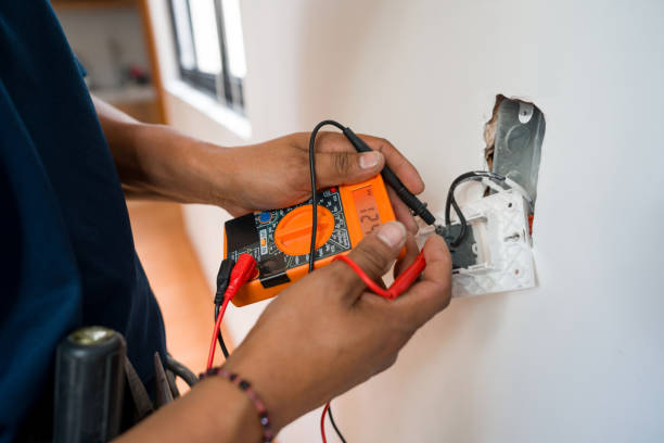Best Electrician for Home Renovation  in Colon, MI