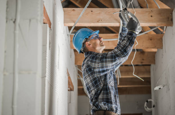 Best Local Electrician Companies  in Colon, MI