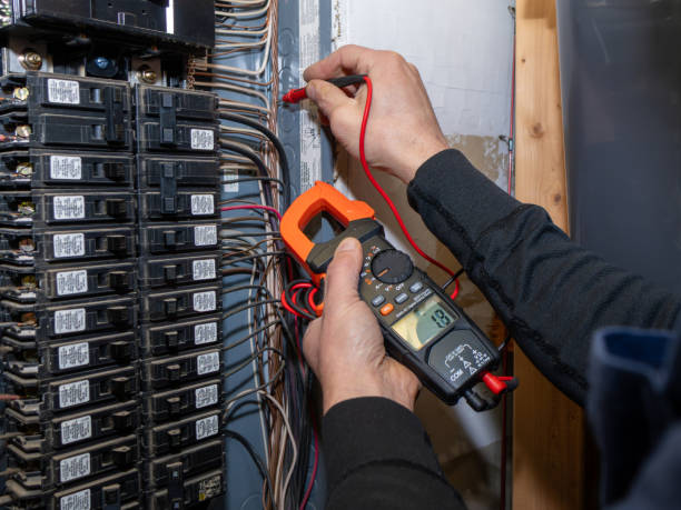 Best Electrical System Inspection  in Colon, MI